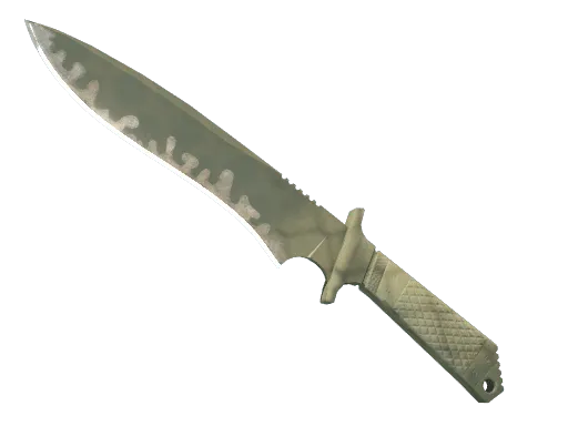 ★ StatTrak™ Classic Knife | Safari Mesh (Field-Tested)