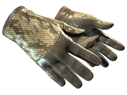 ★ Driver Gloves | Diamondback (Field-Tested)