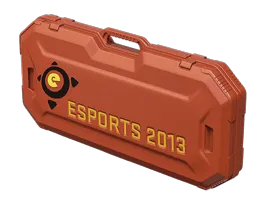 eSports 2013 Case