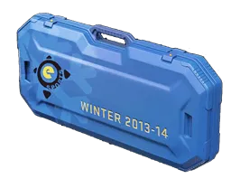 eSports 2013 Winter Case