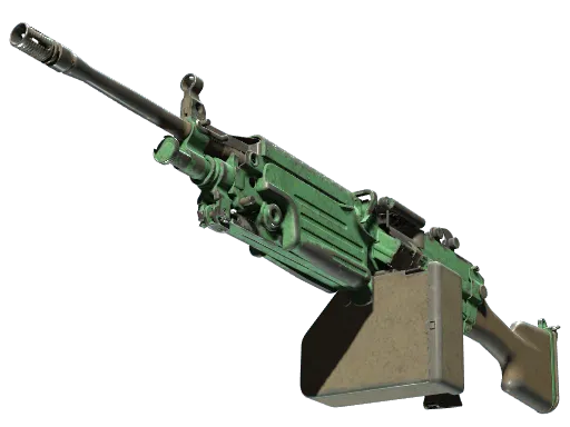M249 | Jungle (Battle-Scarred)