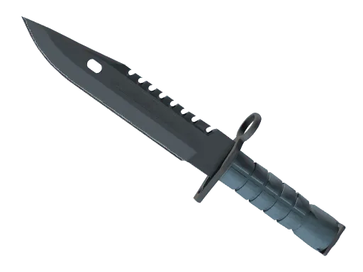 ★ M9 Bayonet | Night (Minimal Wear)