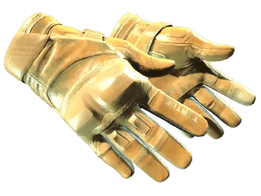 ★ Moto Gloves | Transport (Minimal Wear)