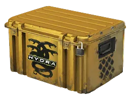 Operation Hydra Case