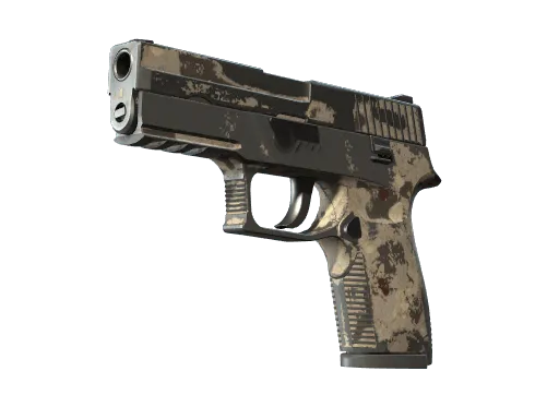 P250 | Black & Tan (Battle-Scarred)