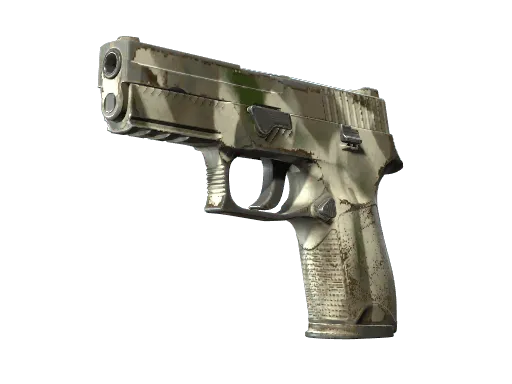 P250 | Bone Mask (Well-Worn)