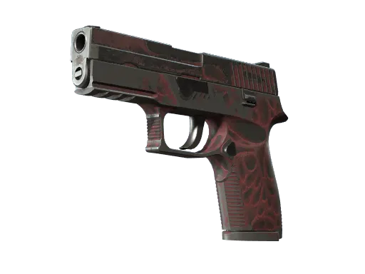 StatTrak™ P250 | Contaminant (Battle-Scarred)