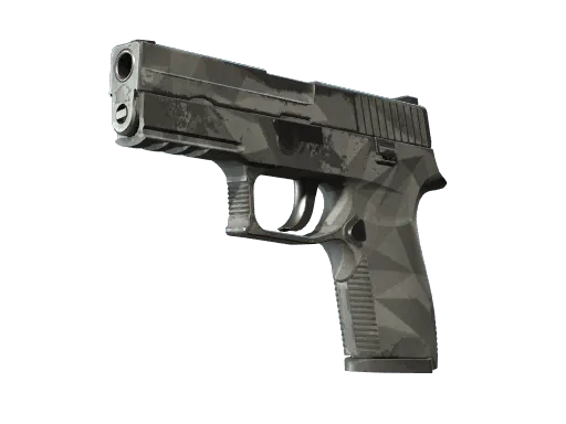 P250 | Facets (Field-Tested)