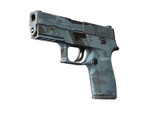 P250 | Forest Night (Well-Worn)