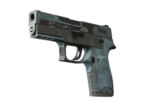 P250 | Forest Night (Battle-Scarred)