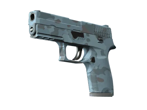 P250 | Forest Night (Minimal Wear)