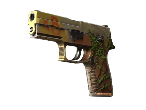 StatTrak™ P250 | Inferno (Field-Tested)