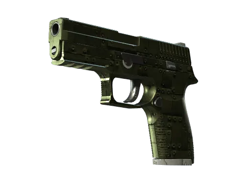 P250 | Iron Clad (Well-Worn)