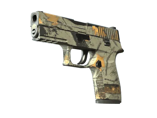 P250 | Modern Hunter (Well-Worn)