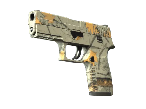 P250 | Modern Hunter (Minimal Wear)