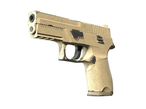 P250 | Sand Dune (Well-Worn)