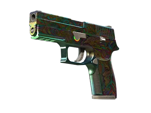 P250 | Visions (Well-Worn)