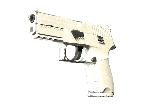 P250 | Whiteout (Well-Worn)