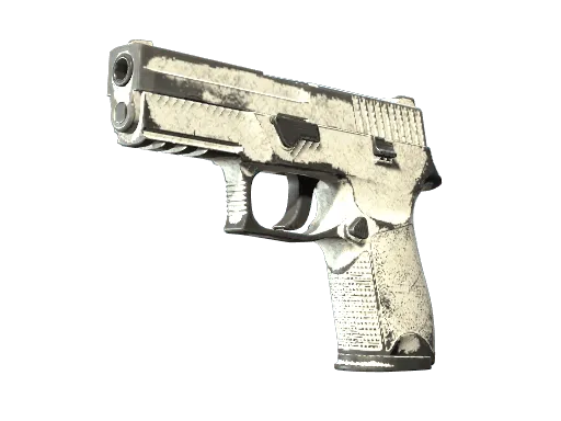 P250 | Whiteout (Battle-Scarred)