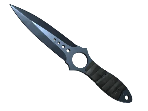 ★ Skeleton Knife | Blue Steel (Well-Worn)