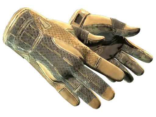 ★ Sport Gloves | Arid (Well-Worn)