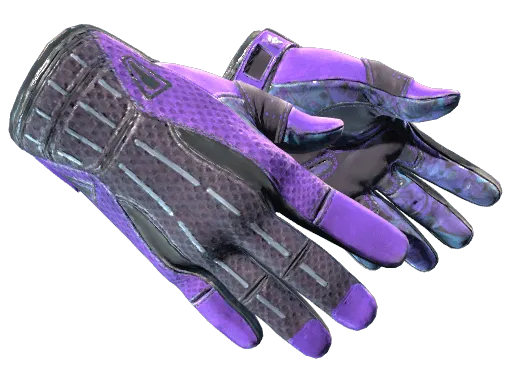 ★ Sport Gloves | Pandora's Box (Well-Worn)