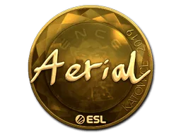 Sticker | Aerial (Gold) | Katowice 2019