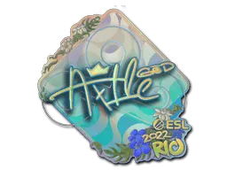 Sticker | Ax1Le (Holo) | Rio 2022