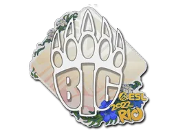 Sticker | BIG | Rio 2022