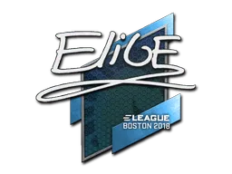 Sticker | EliGE | Boston 2018