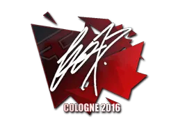 Sticker | fox | Cologne 2016