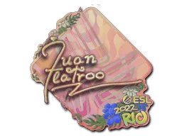 Sticker | juanflatroo (Holo) | Rio 2022