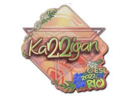 Sticker | karrigan (Holo) | Rio 2022