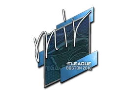 Sticker | mir | Boston 2018