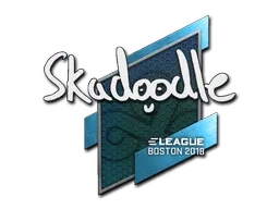 Sticker | Skadoodle | Boston 2018