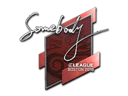 Sticker | somebody | Boston 2018