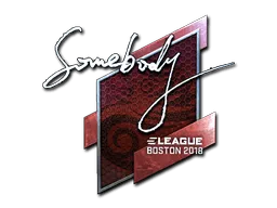 Sticker | somebody (Foil) | Boston 2018