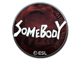 Sticker | somebody (Foil) | Katowice 2019