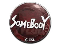 Sticker | somebody | Katowice 2019