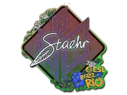 Sticker | Staehr (Glitter) | Rio 2022