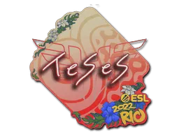 Sticker | TeSeS | Rio 2022