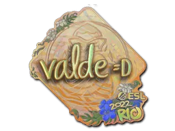 Sticker | v4lde (Holo) | Rio 2022