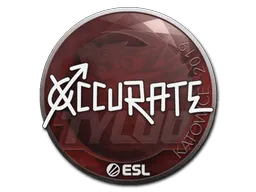 Sticker | xccurate | Katowice 2019