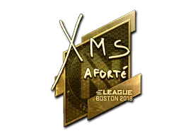 Sticker | xms (Gold) | Boston 2018