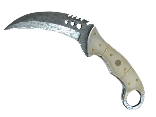 ★ StatTrak™ Talon Knife | Damascus Steel (Well-Worn)