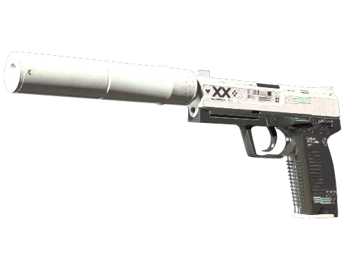 StatTrak™ USP-S | Printstream (Well-Worn)