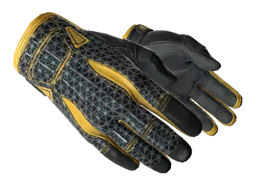 Sport Gloves
